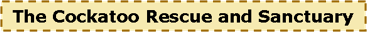 CockatooSanctuary.png