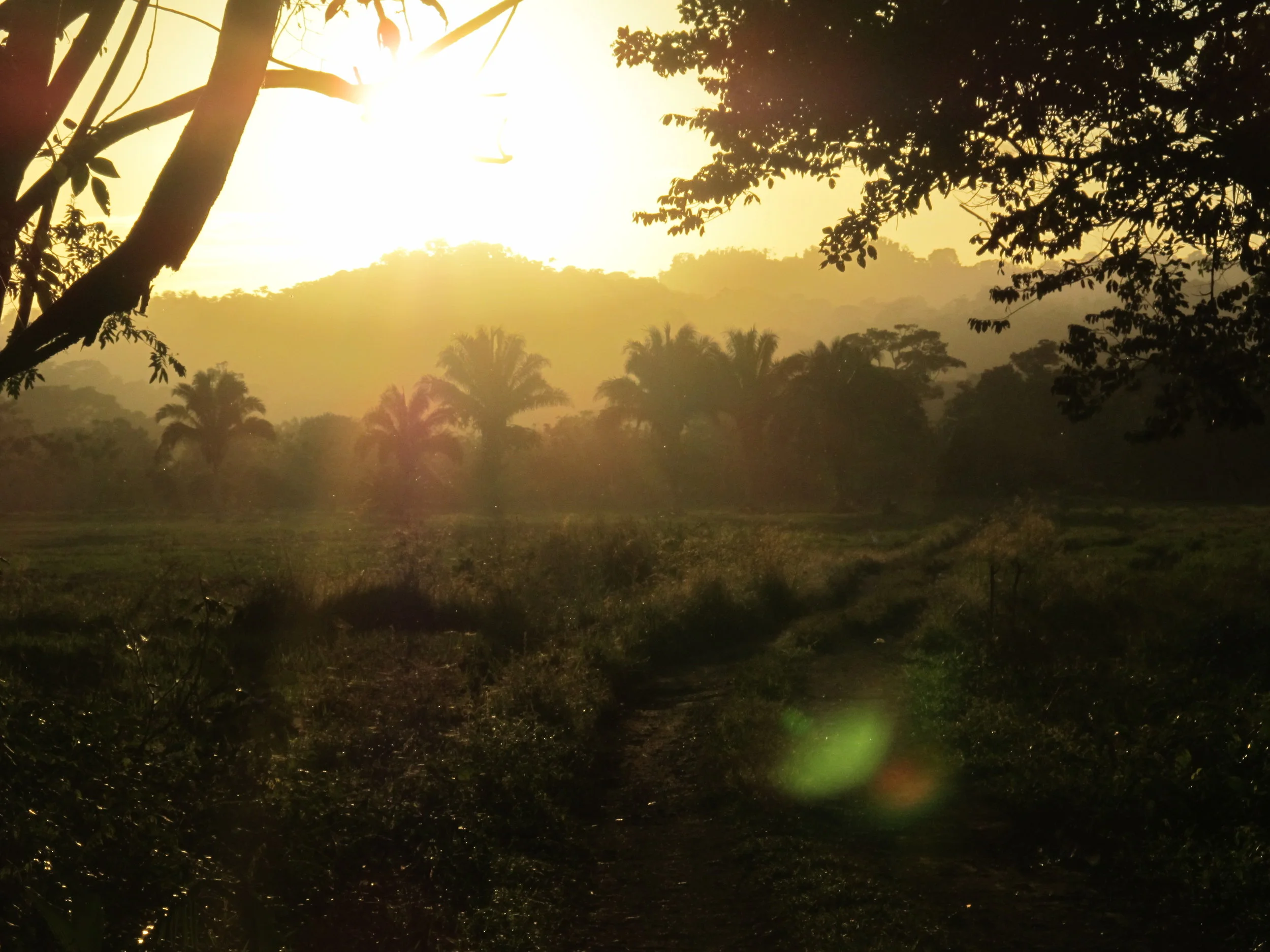 costa rica sunrise edited.jpeg
