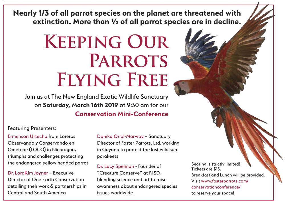 Conservation Mini-Conference — Foster Parrots — The New England Exotic  Wildlife Sanctuary