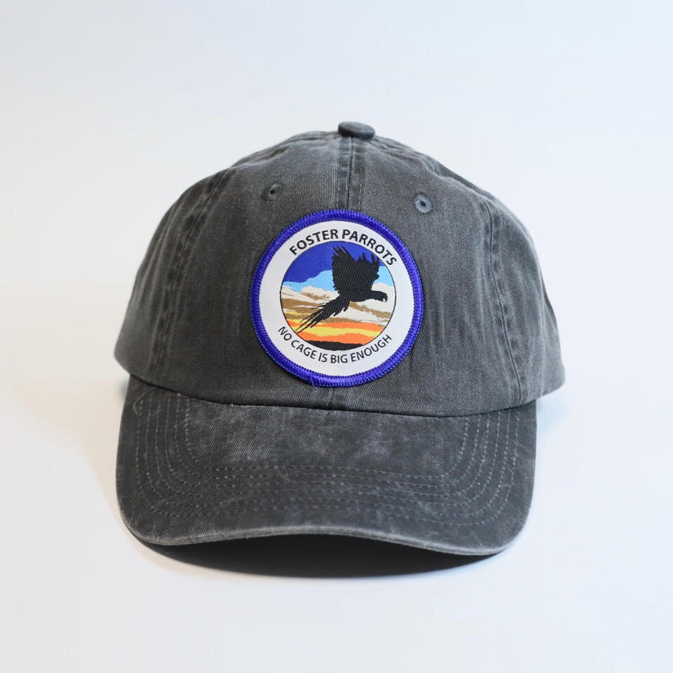 Black FP Hat.jpg