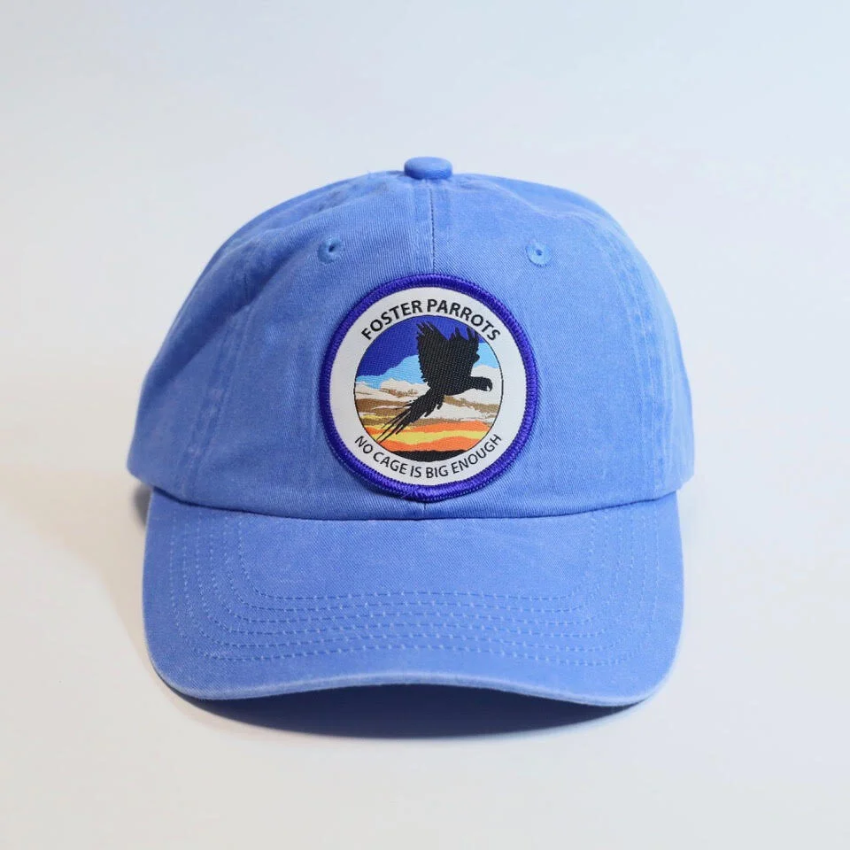 Light Blue FP Hat.jpg