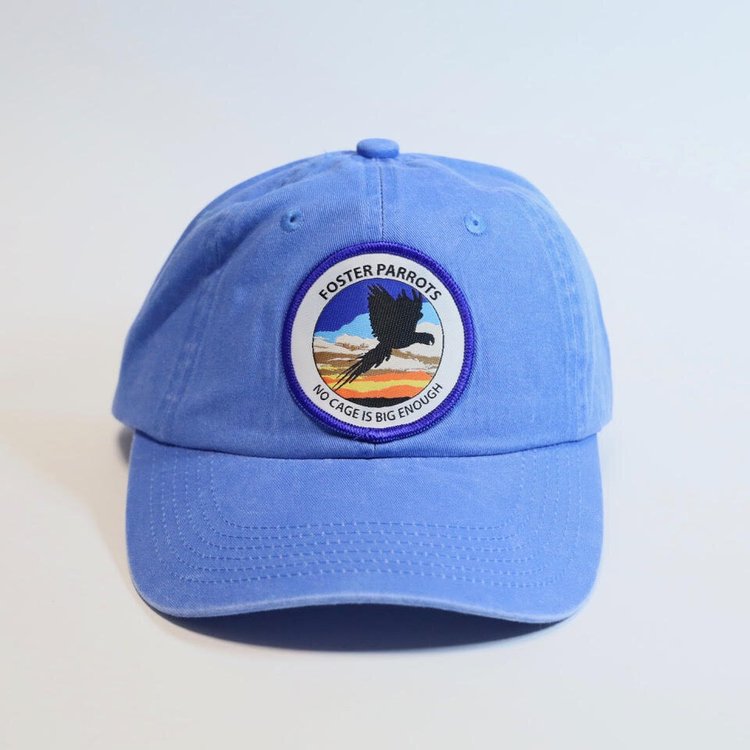 Foster Parrots Baseball Hat — Foster Parrots — The New England
