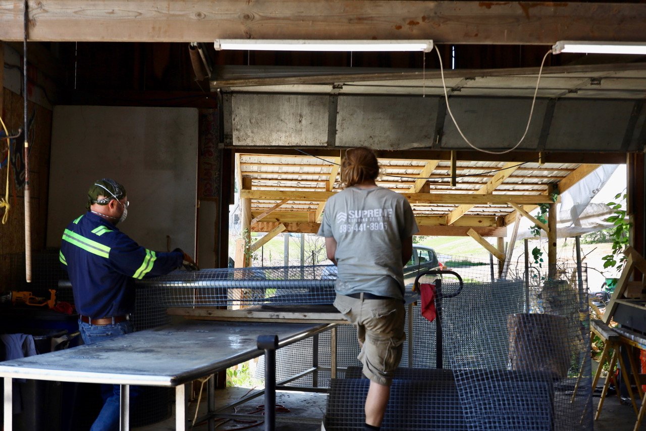 Foster Parrots - construction 4 (1).jpeg