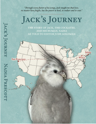 Jack's Journey.png