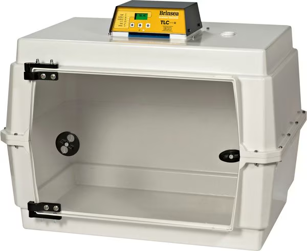image (6).png
