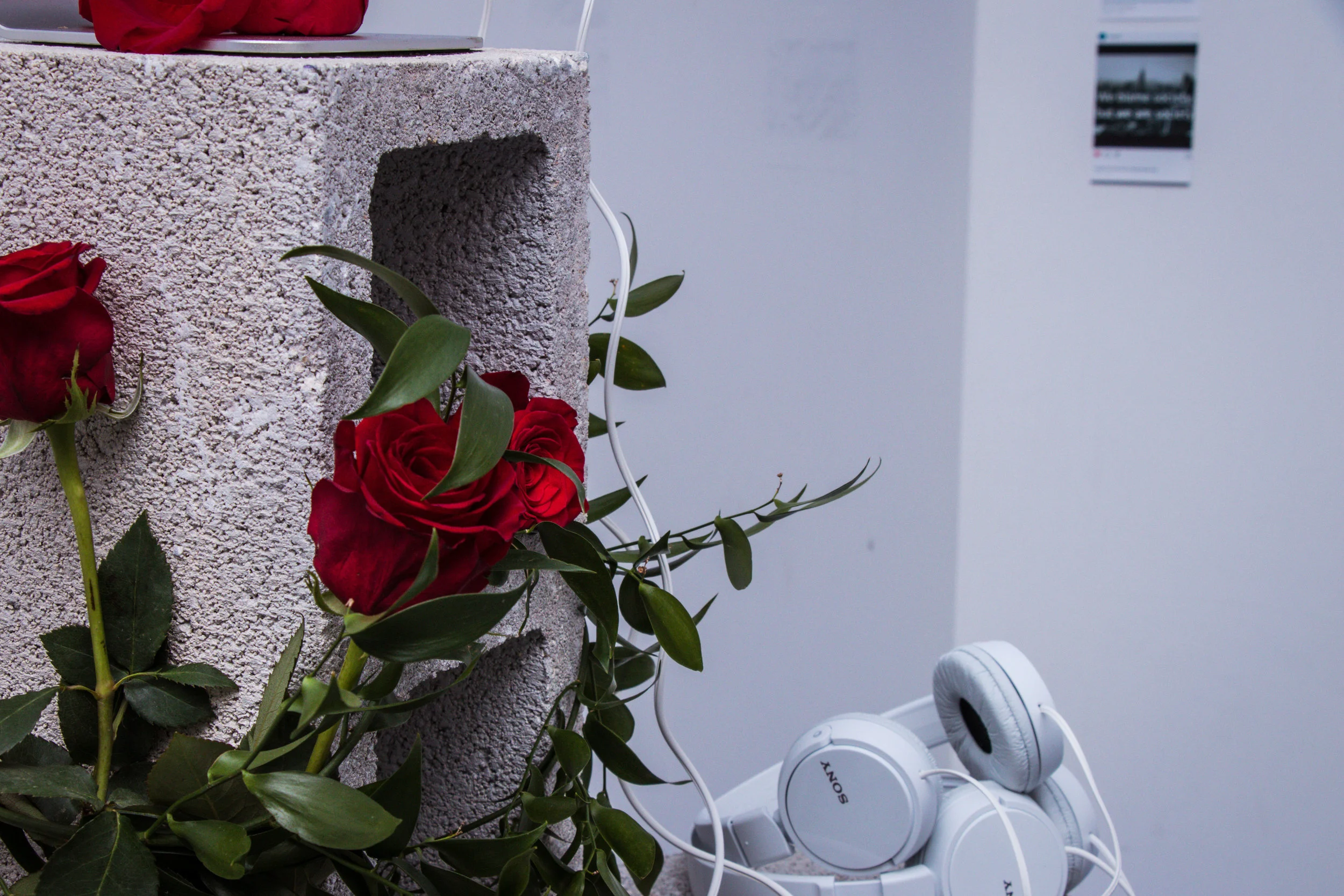 image courtesy of zaida rose photo