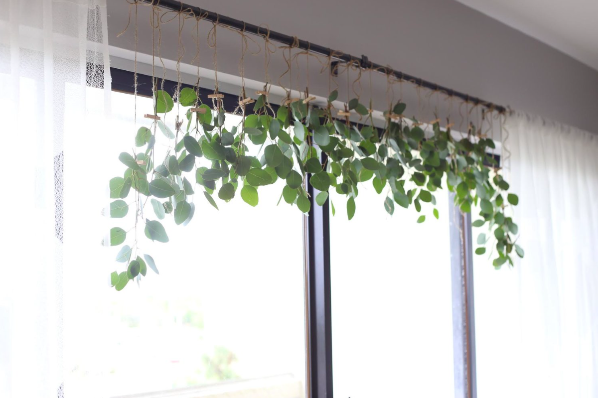 Screen Shot 2017-10-13 at 10.44.53 AM.png