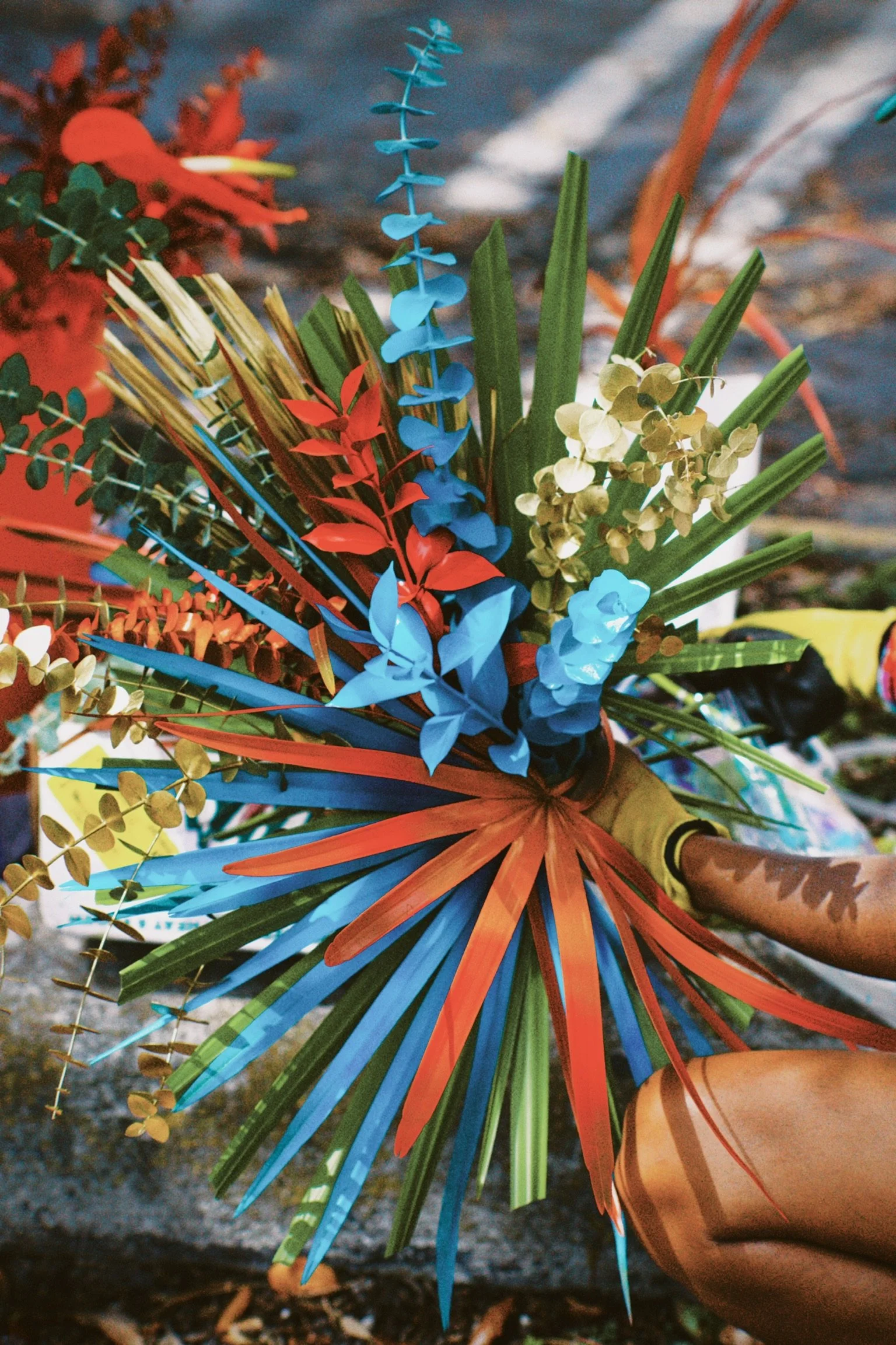 dfuns 2024-03-05 160102.514.JPG