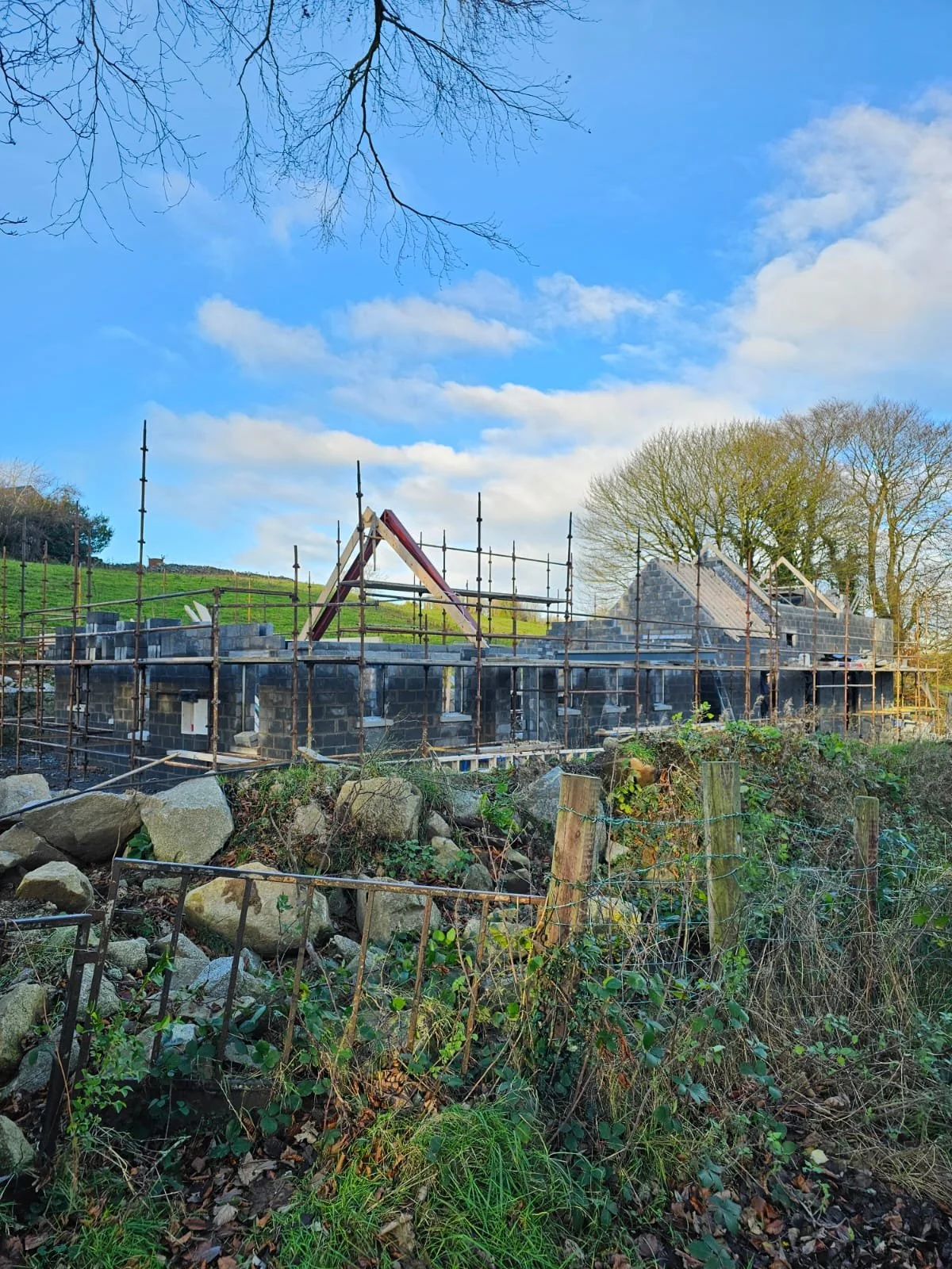 PHOTO-2025-01-07-20-32-54 3.jpeg