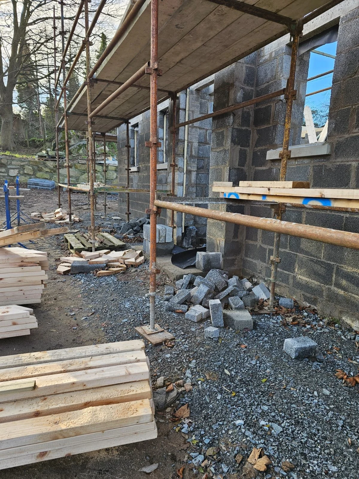 PHOTO-2025-01-07-20-32-53 7.jpeg