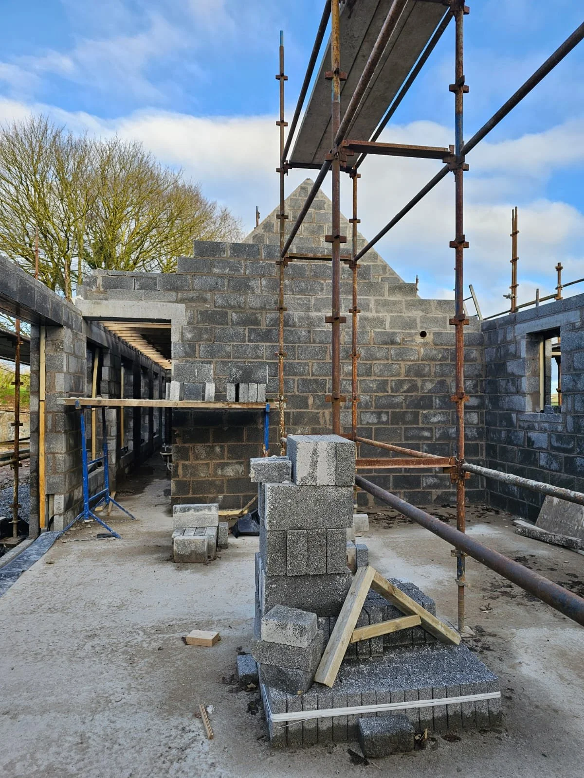 PHOTO-2025-01-07-20-32-53 6.jpeg