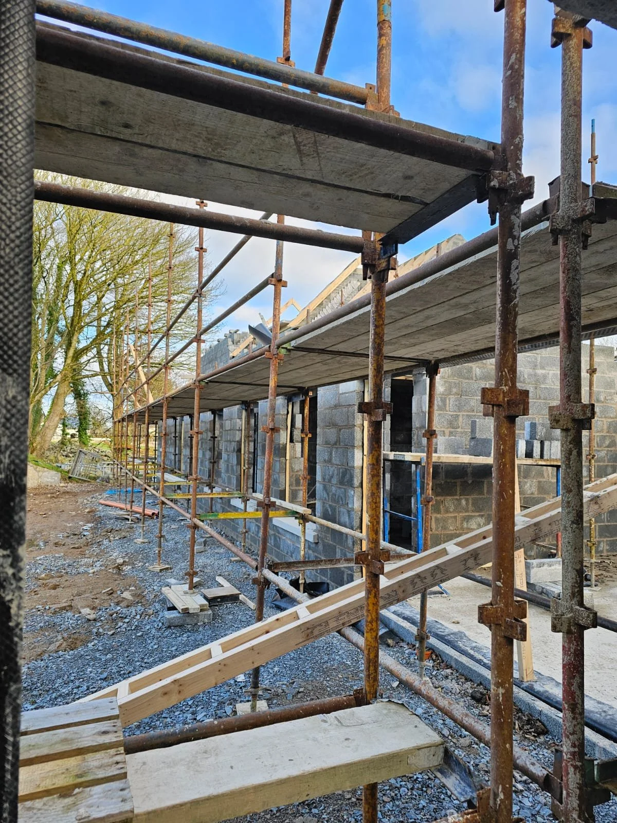 PHOTO-2025-01-07-20-32-53 3.jpeg