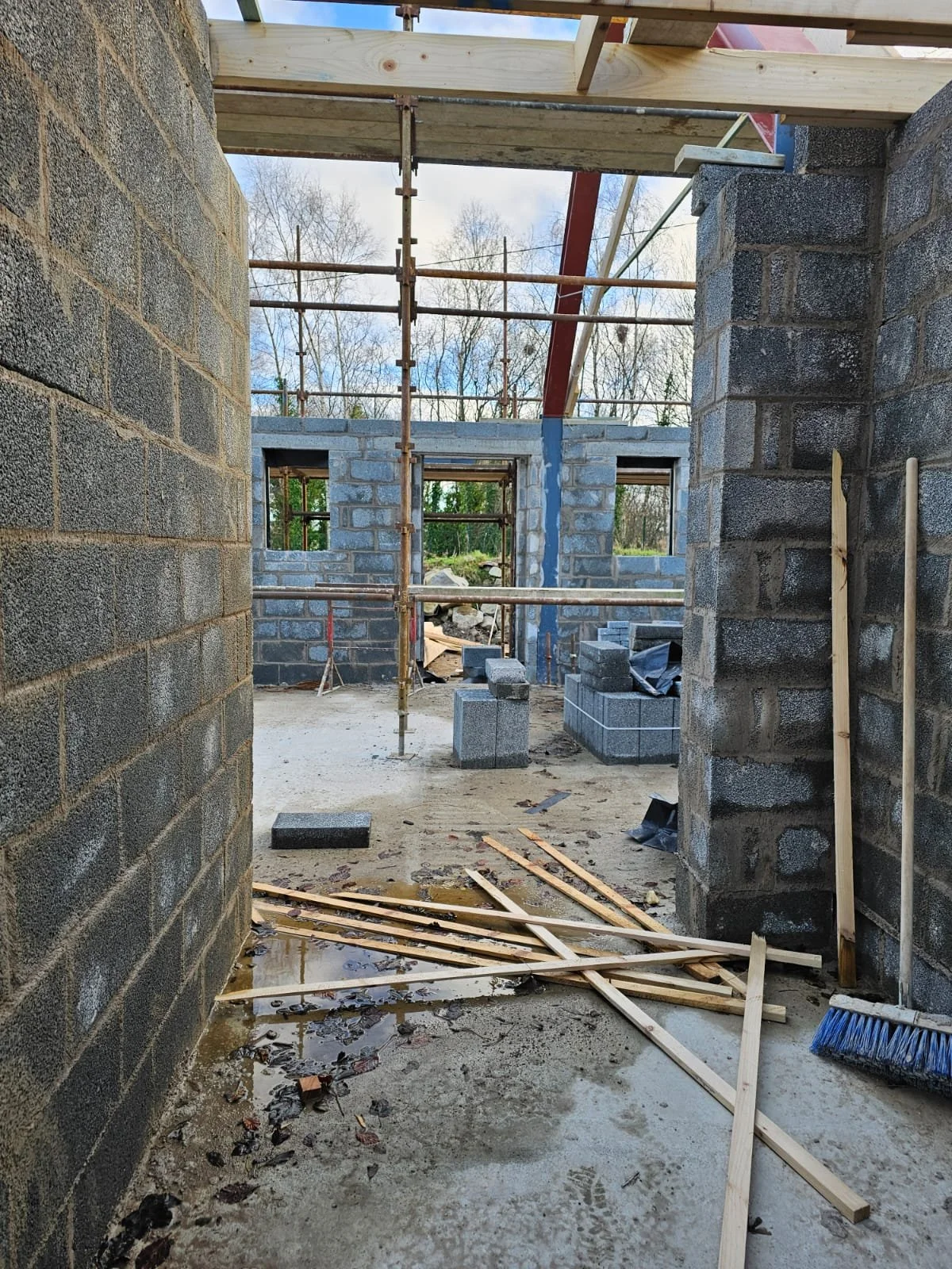 PHOTO-2025-01-07-20-32-53 2.jpeg