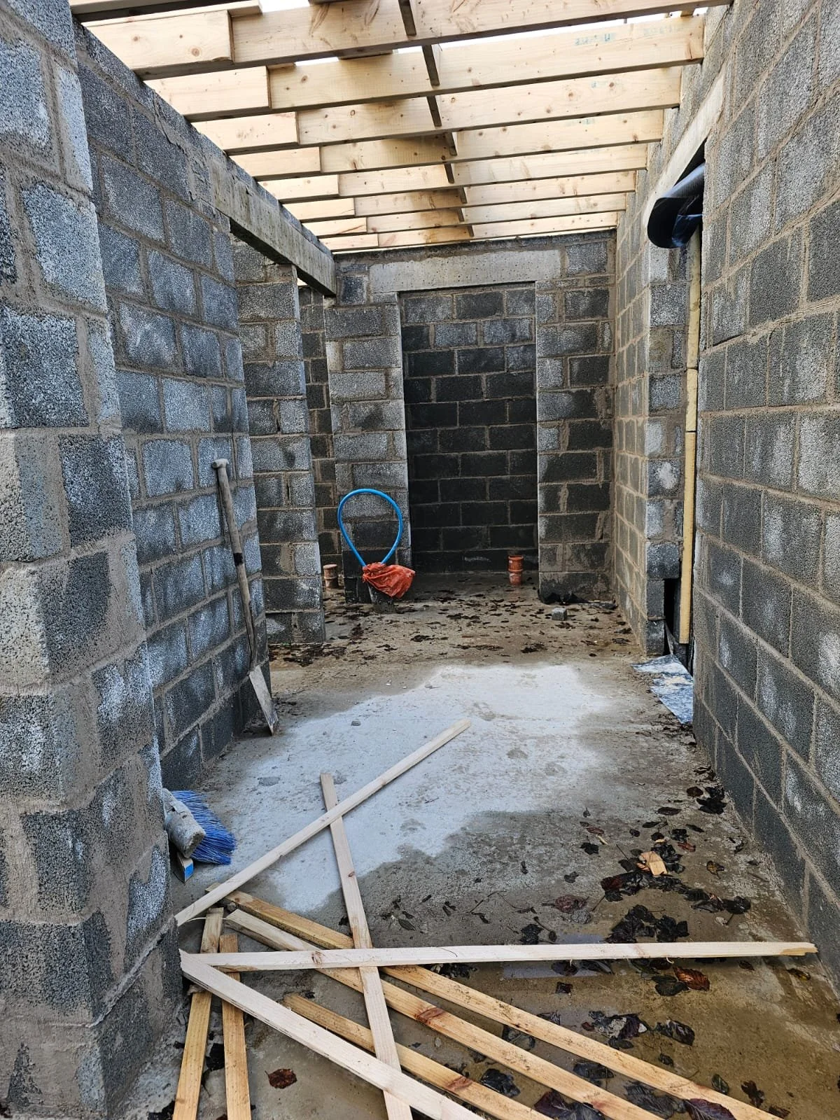 PHOTO-2025-01-07-20-32-52 3.jpeg