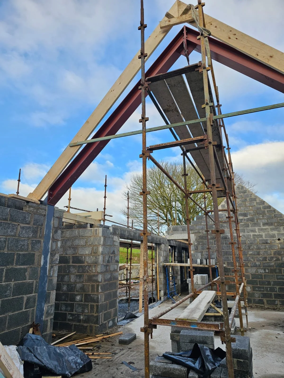 PHOTO-2025-01-07-20-32-52 2.jpeg