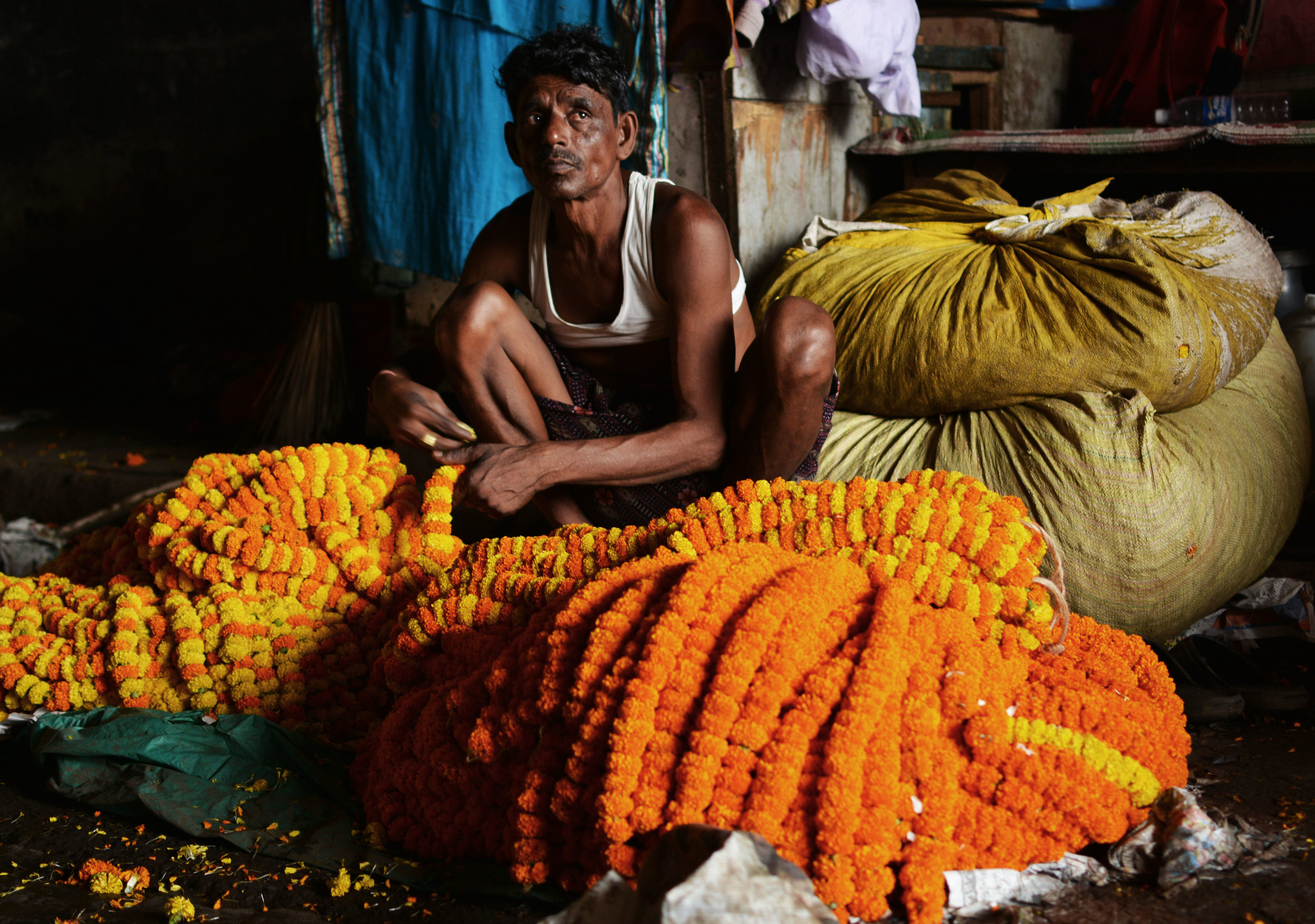 india - man at flowers.jpg