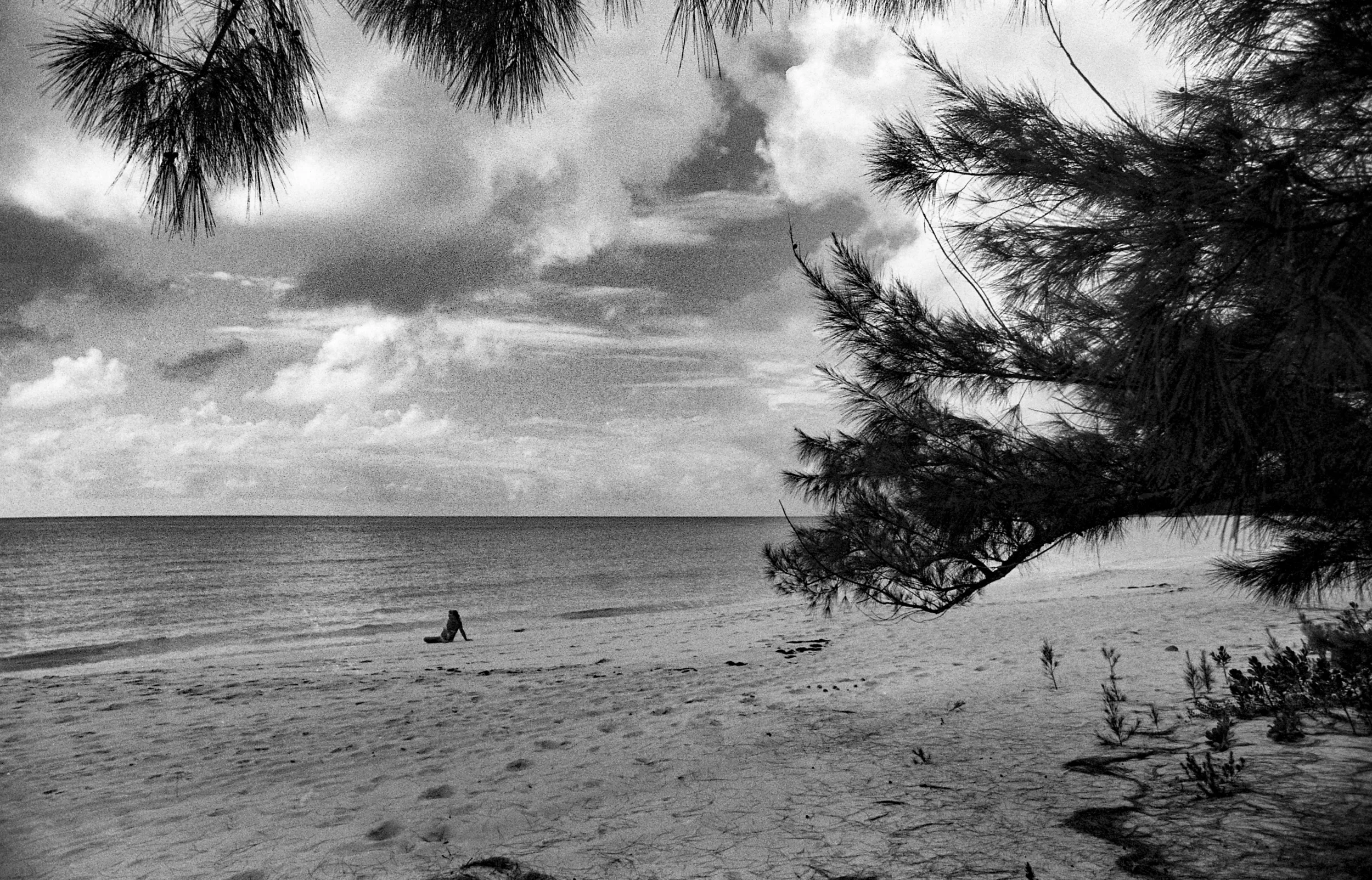 smith112 as Smart Object-1.jpg