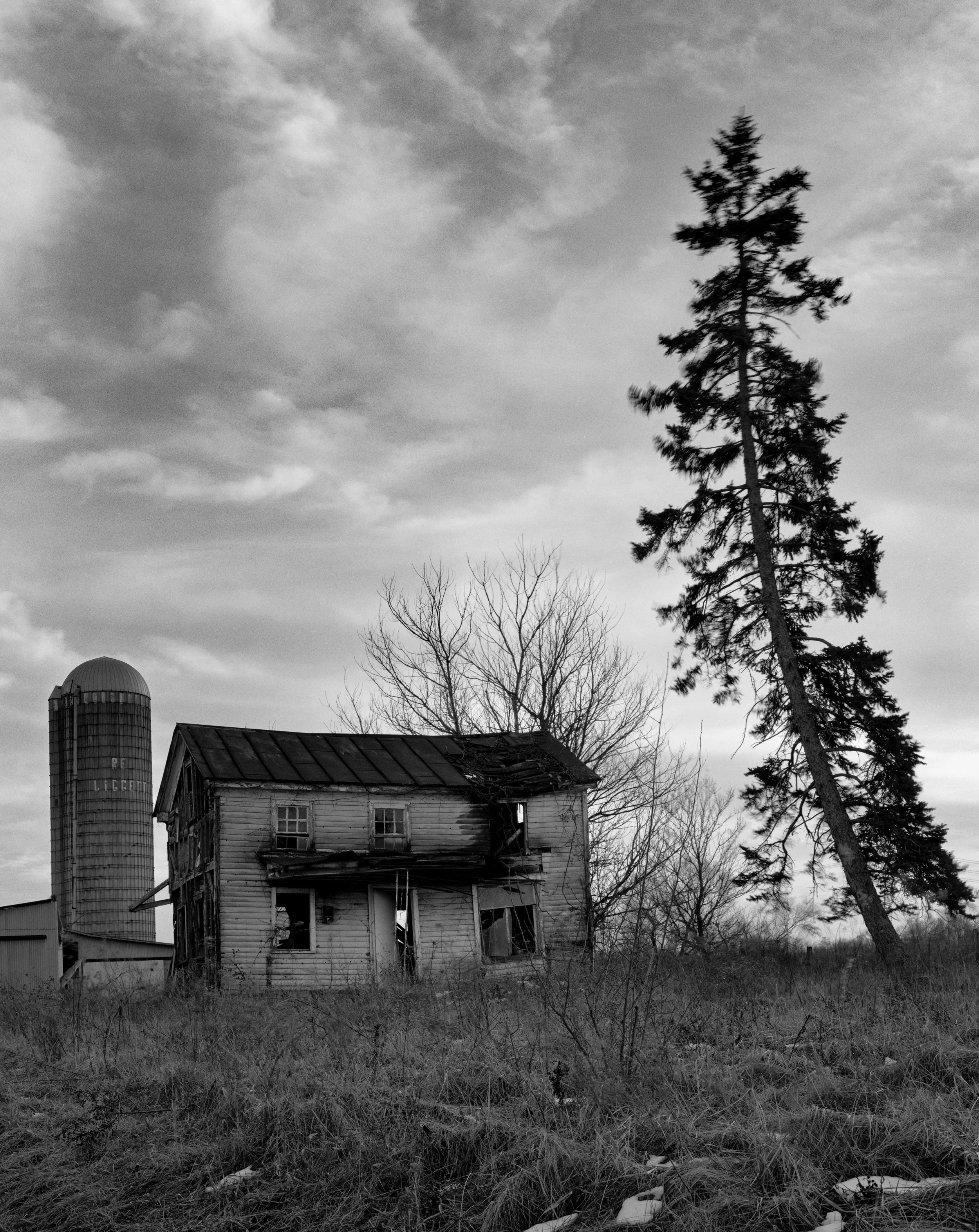 RILEY001 as Smart Object-1small.jpg