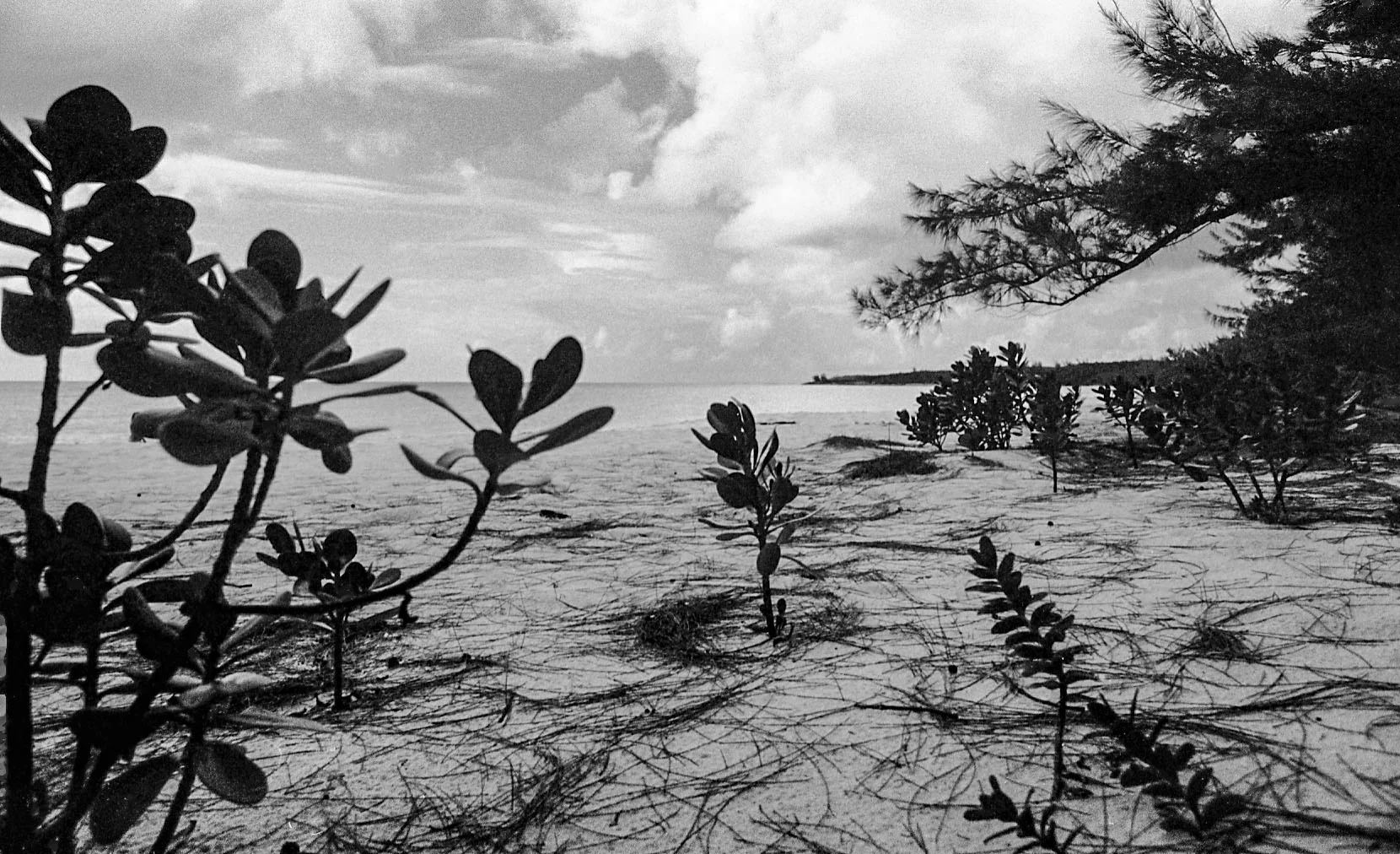 cruise2021 as Smart Object-1.jpg