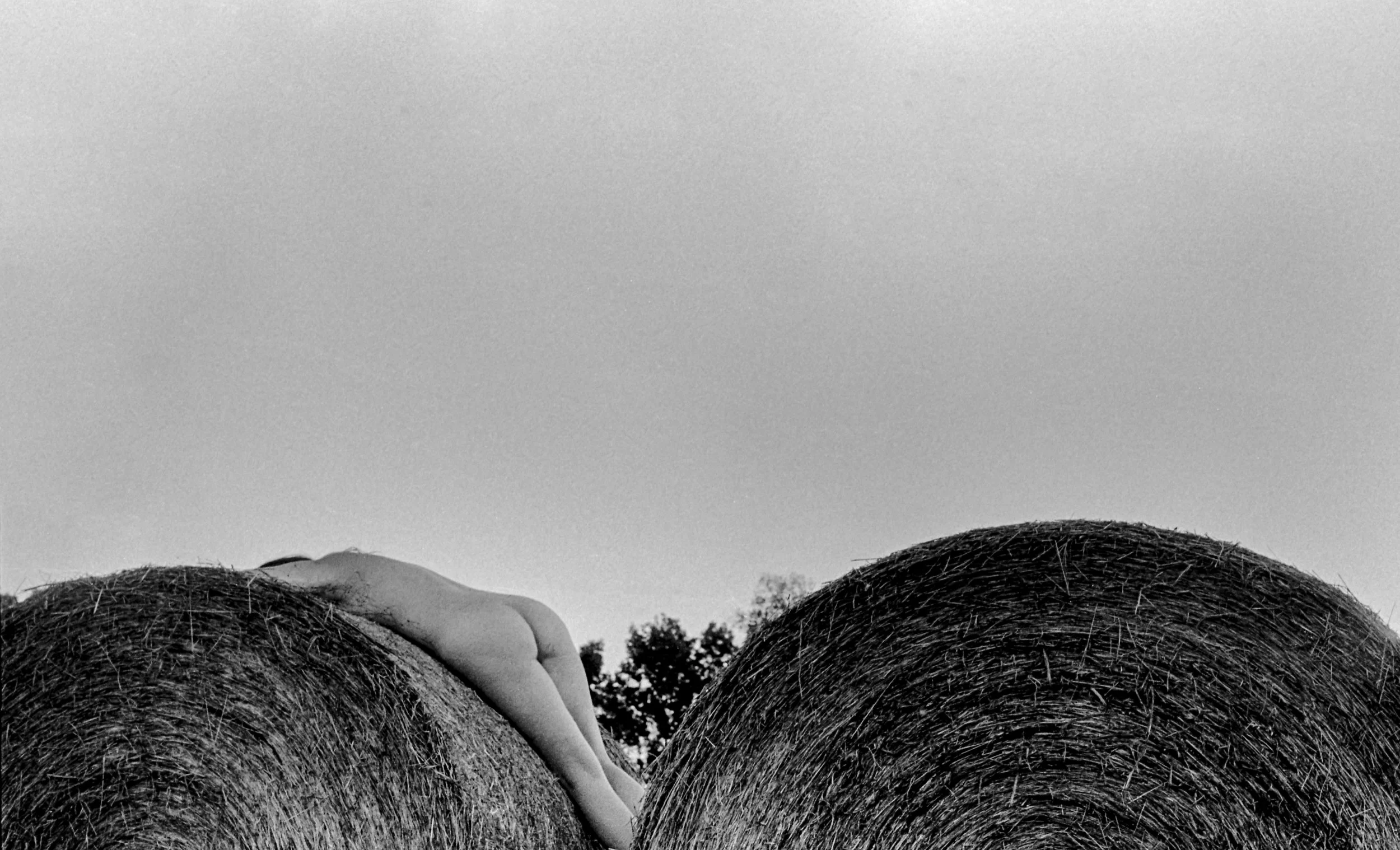 field004 as Smart Object-1.jpg