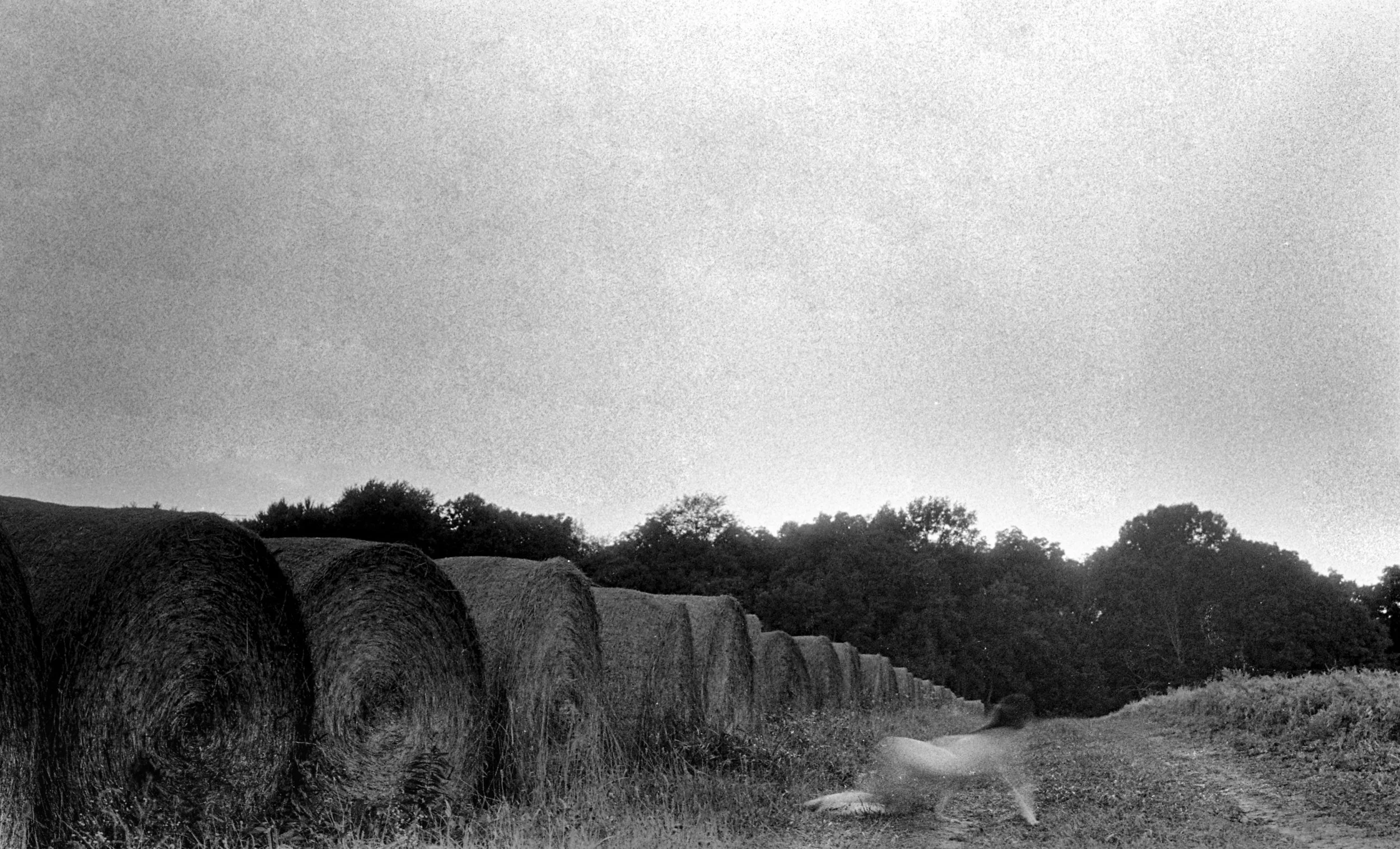 field019 as Smart Object-1.jpg