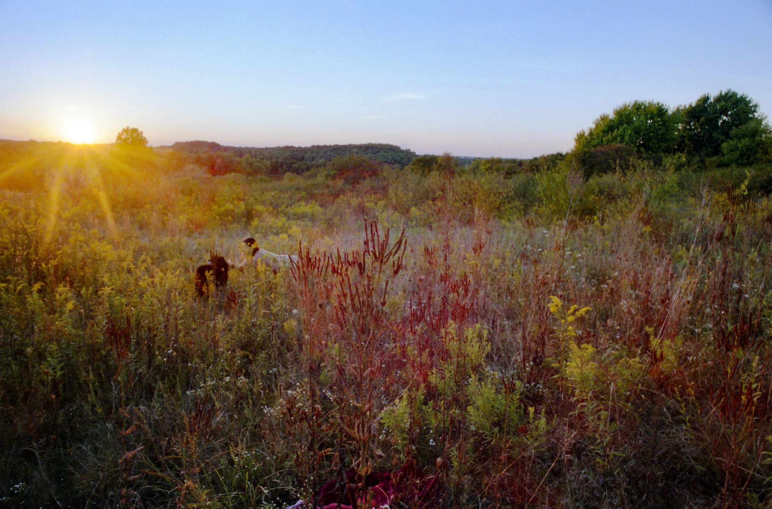 color007 as Smart Object-1.jpg