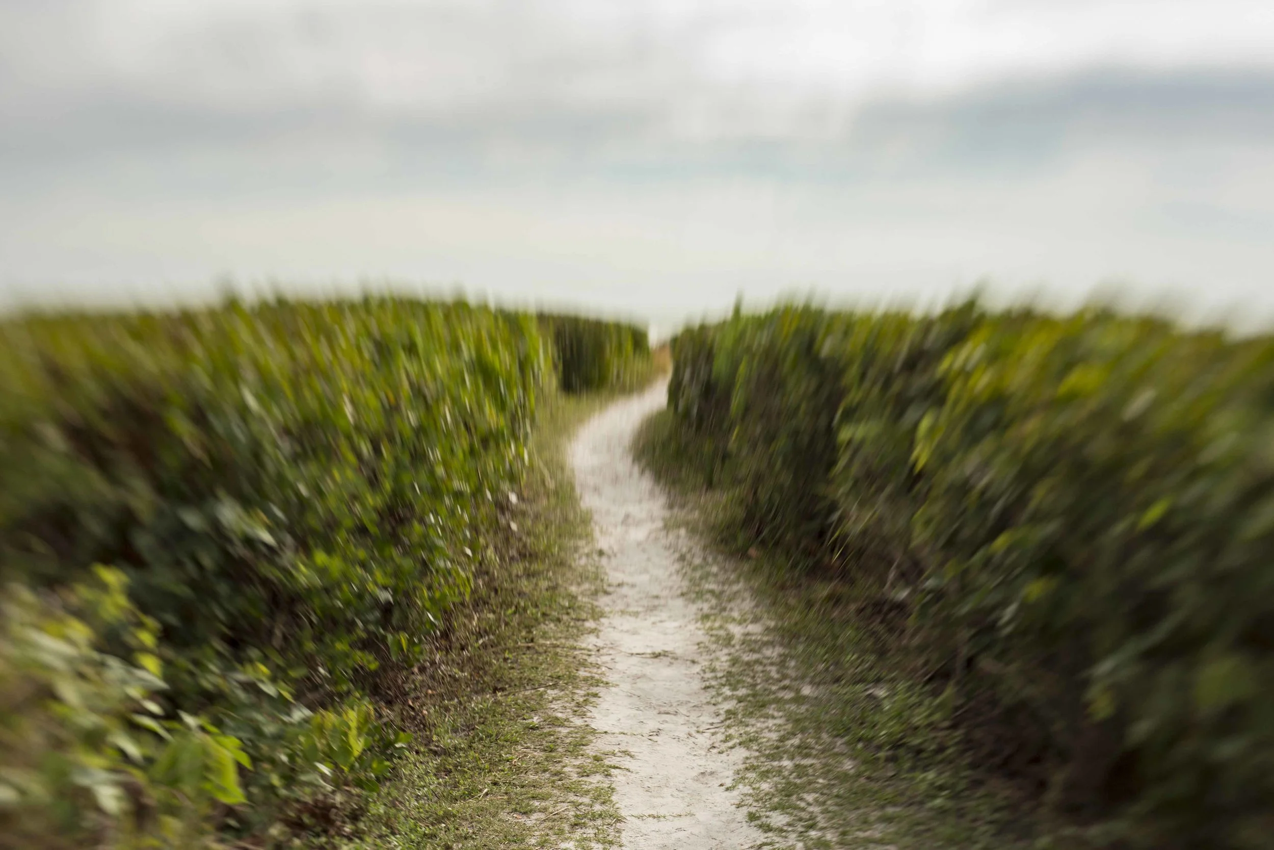 IMG_2597 as Smart Object-1.jpg