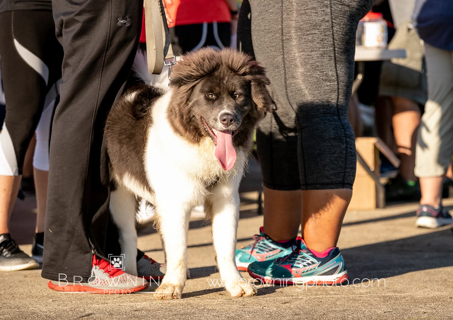 5k 2018 best-7.jpg