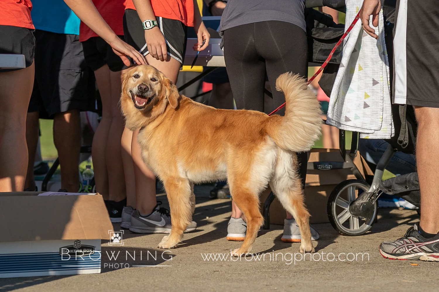 5k 2018 best-11.jpg