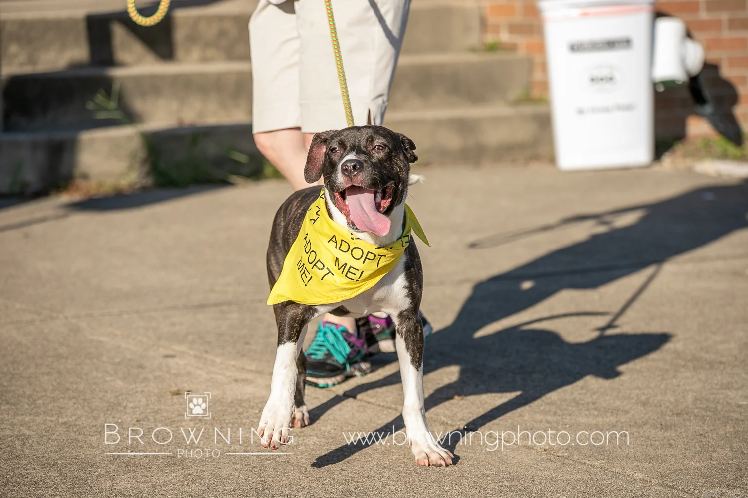 5k 2018 group 2-9.jpg