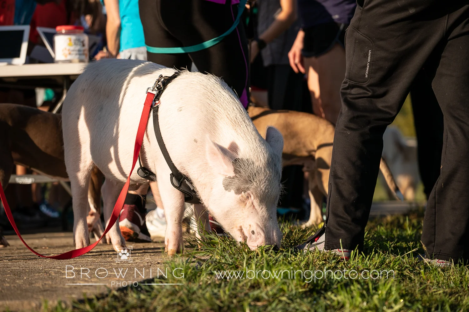 5k 2018 group 3-7.jpg