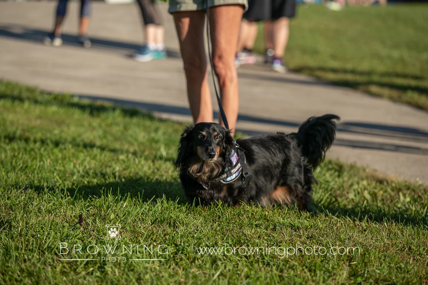 5k 2018 group 3-10.jpg