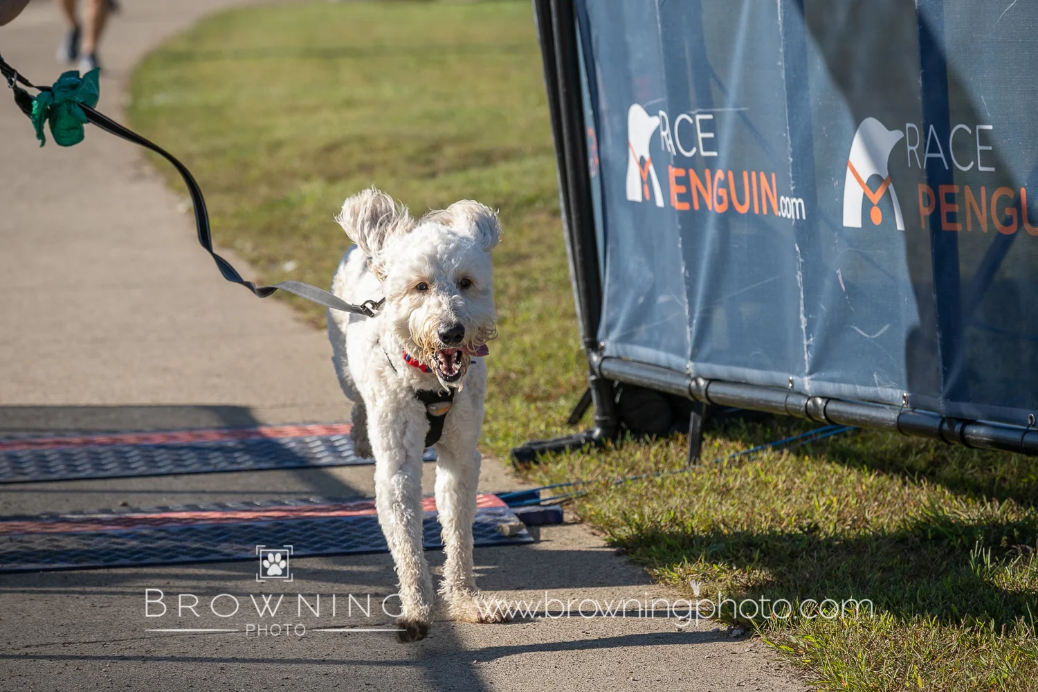 5k 2018 group 4-32.jpg
