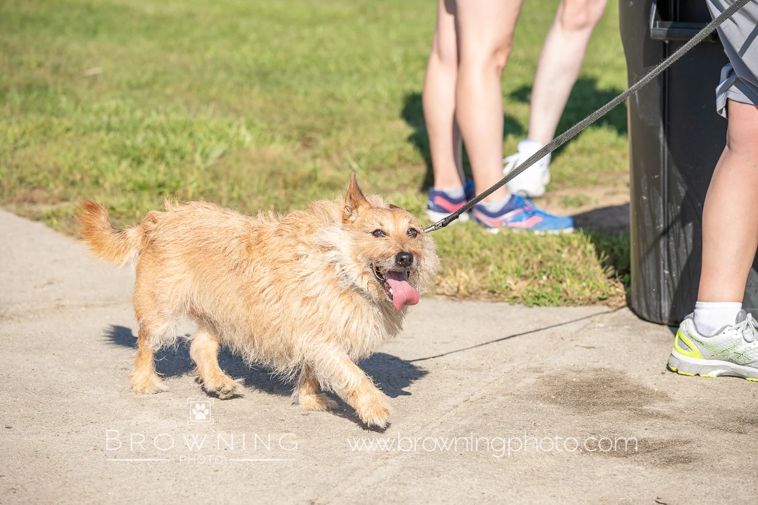 5k 2018 group 4-109.jpg
