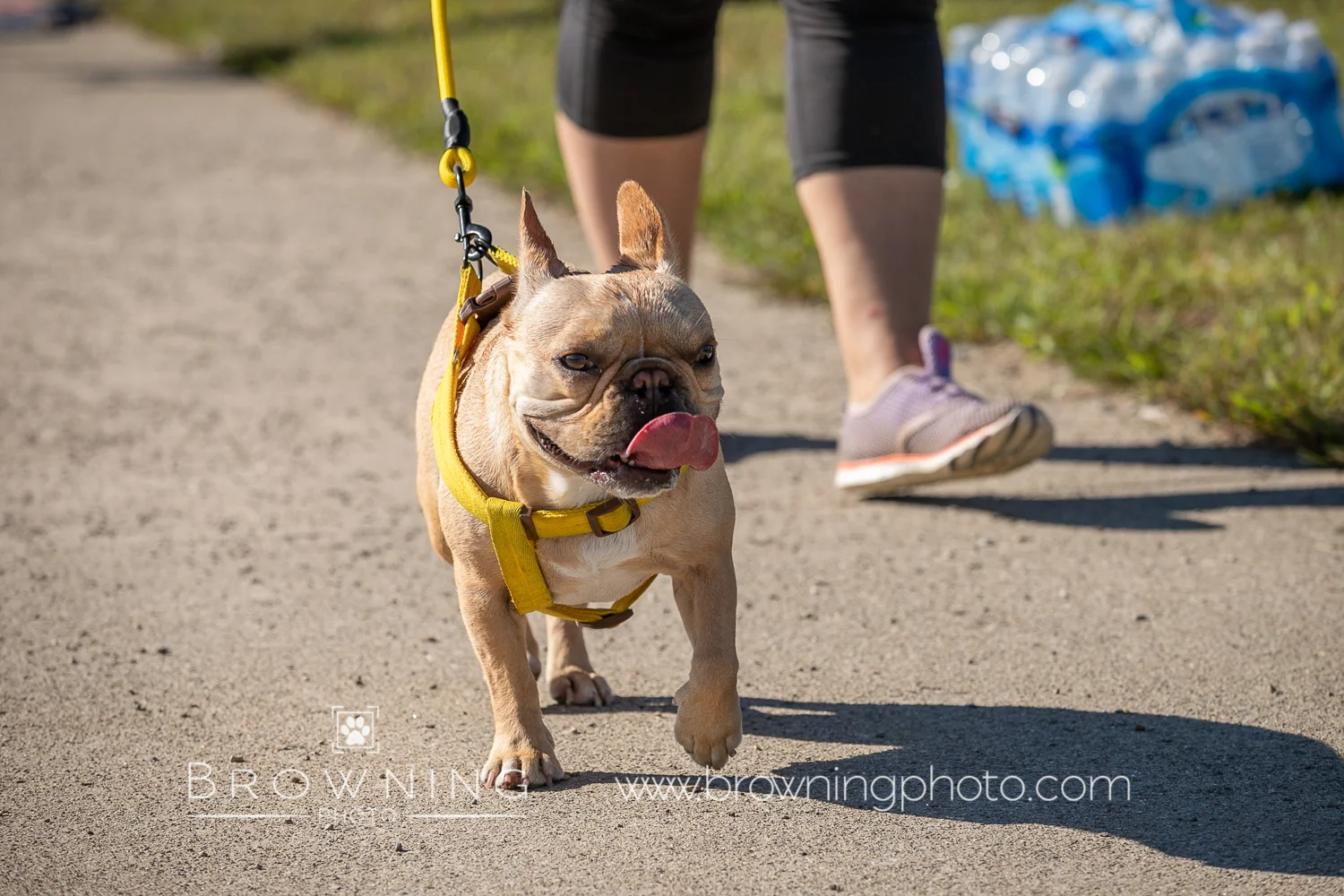 5k 2018 group 4-131.jpg