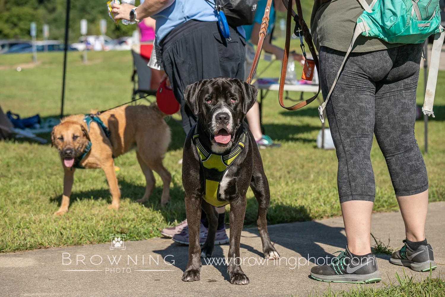 5k 2018 group 4-203.jpg