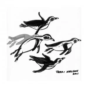 penguins-300x300.jpg