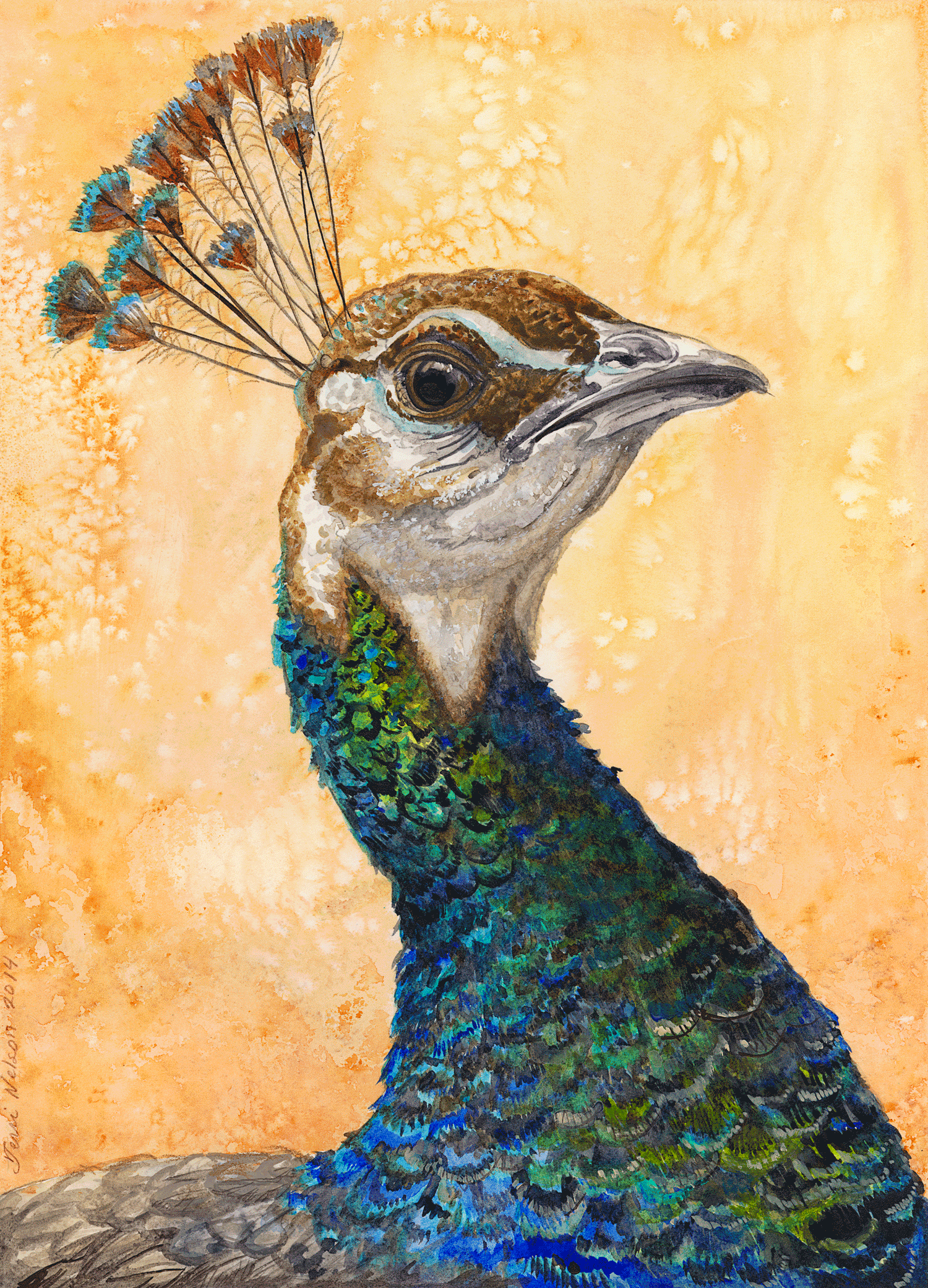 Peahen