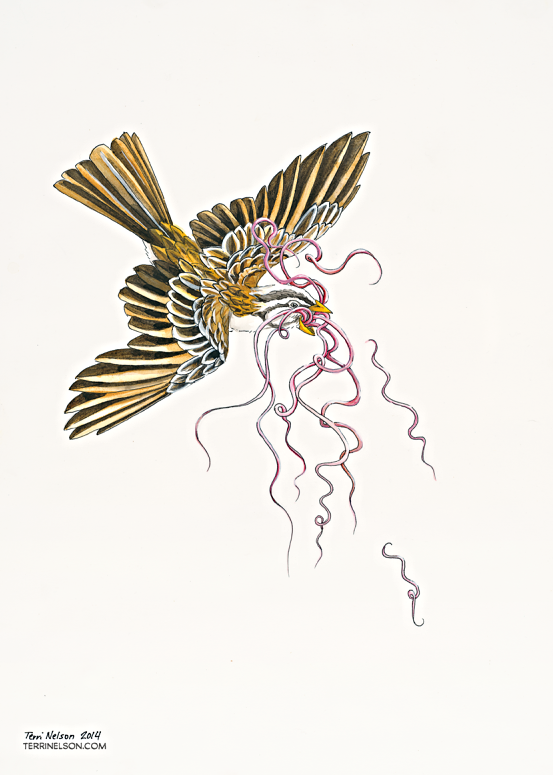 earlybird-600x793.png