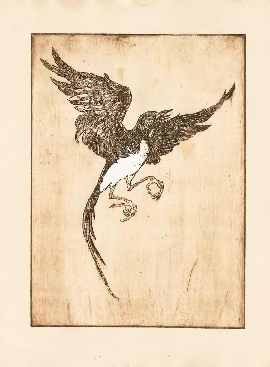 small_magpiewoodcut.jpg