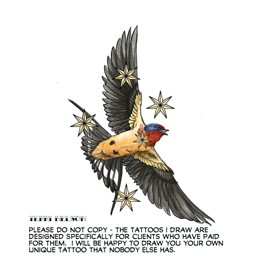 Branson's Swallow with the Southern Cross