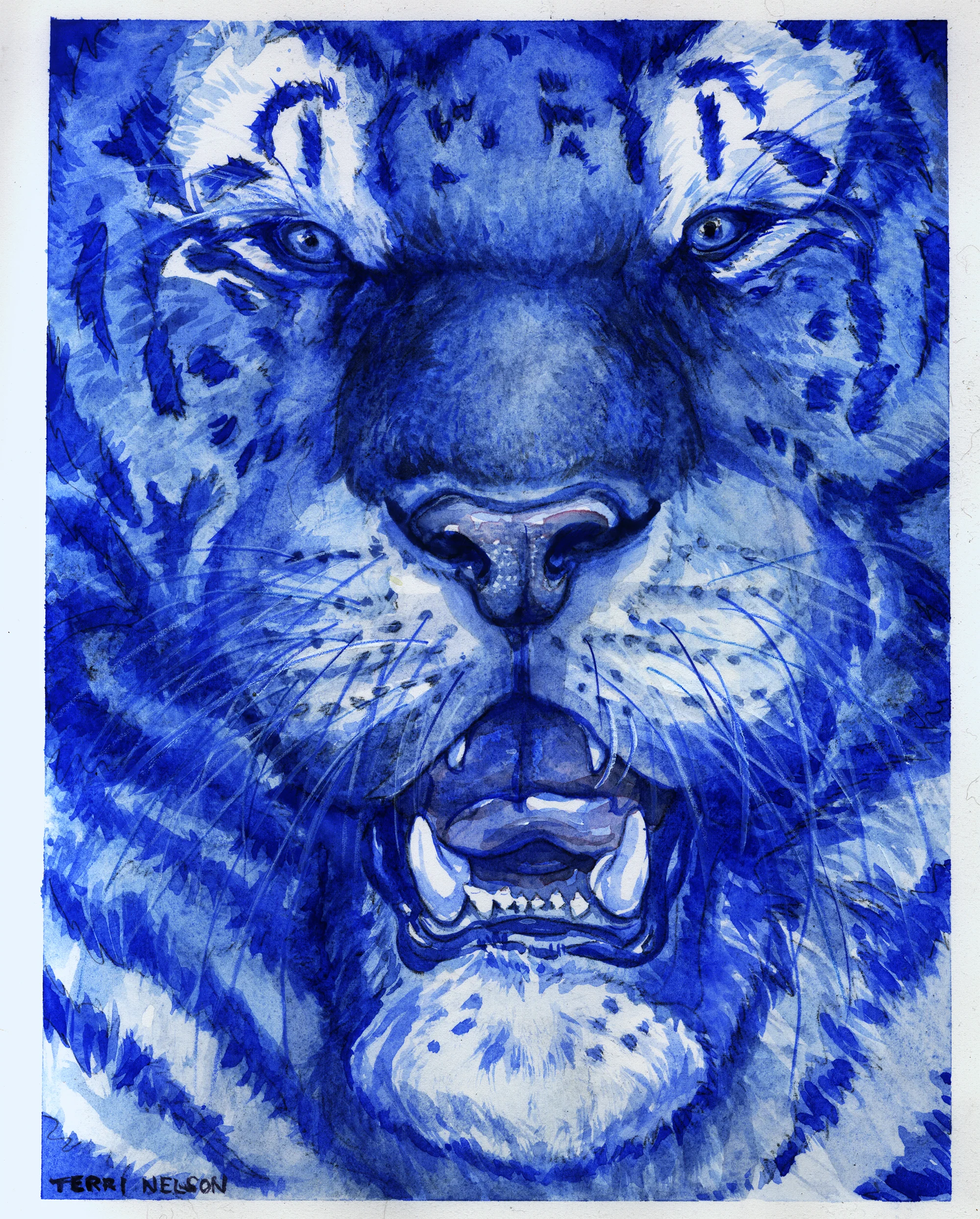 blue-tiger.jpg