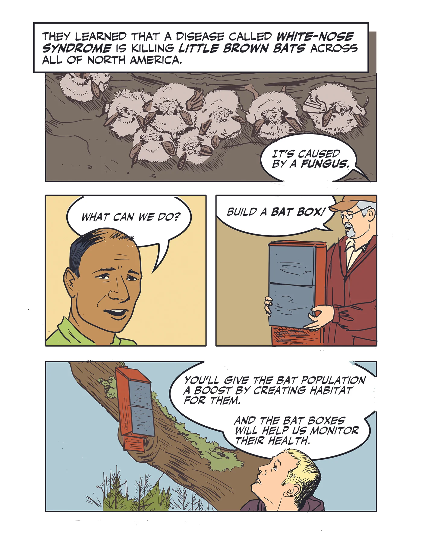 ORZOO_BD_pg2_colors_layers.jpg