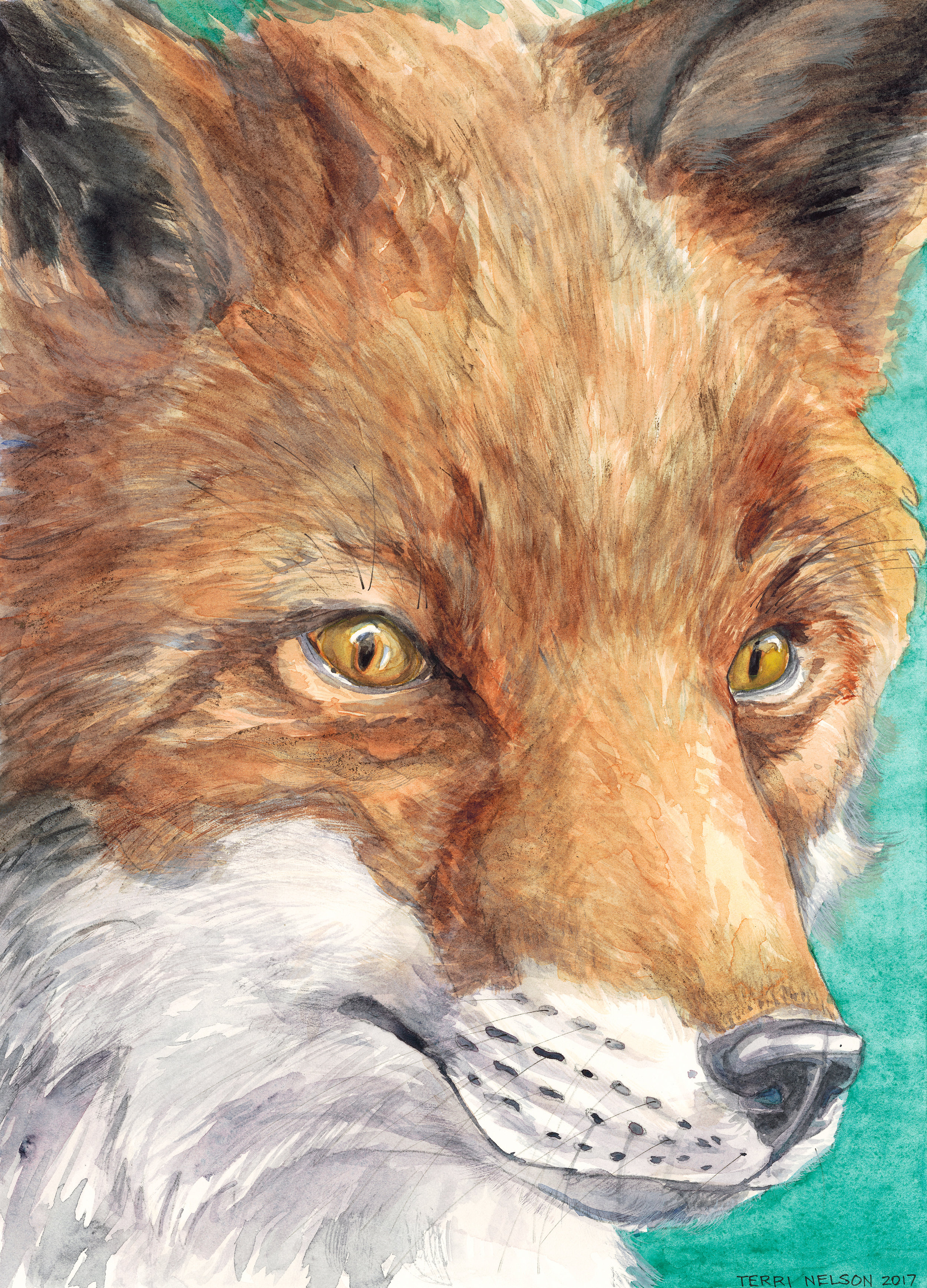Reynard