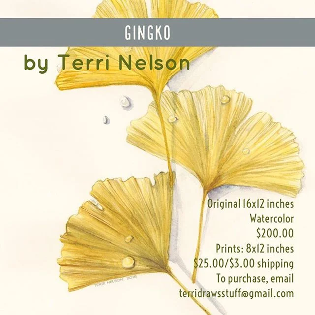 New botanical paintings by me! Email me at terridrawsstuff at gmail dot com to purchase the original or a print.