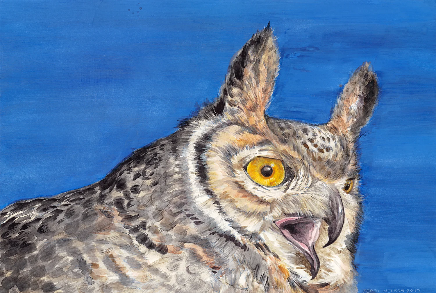 Great Horned Owl