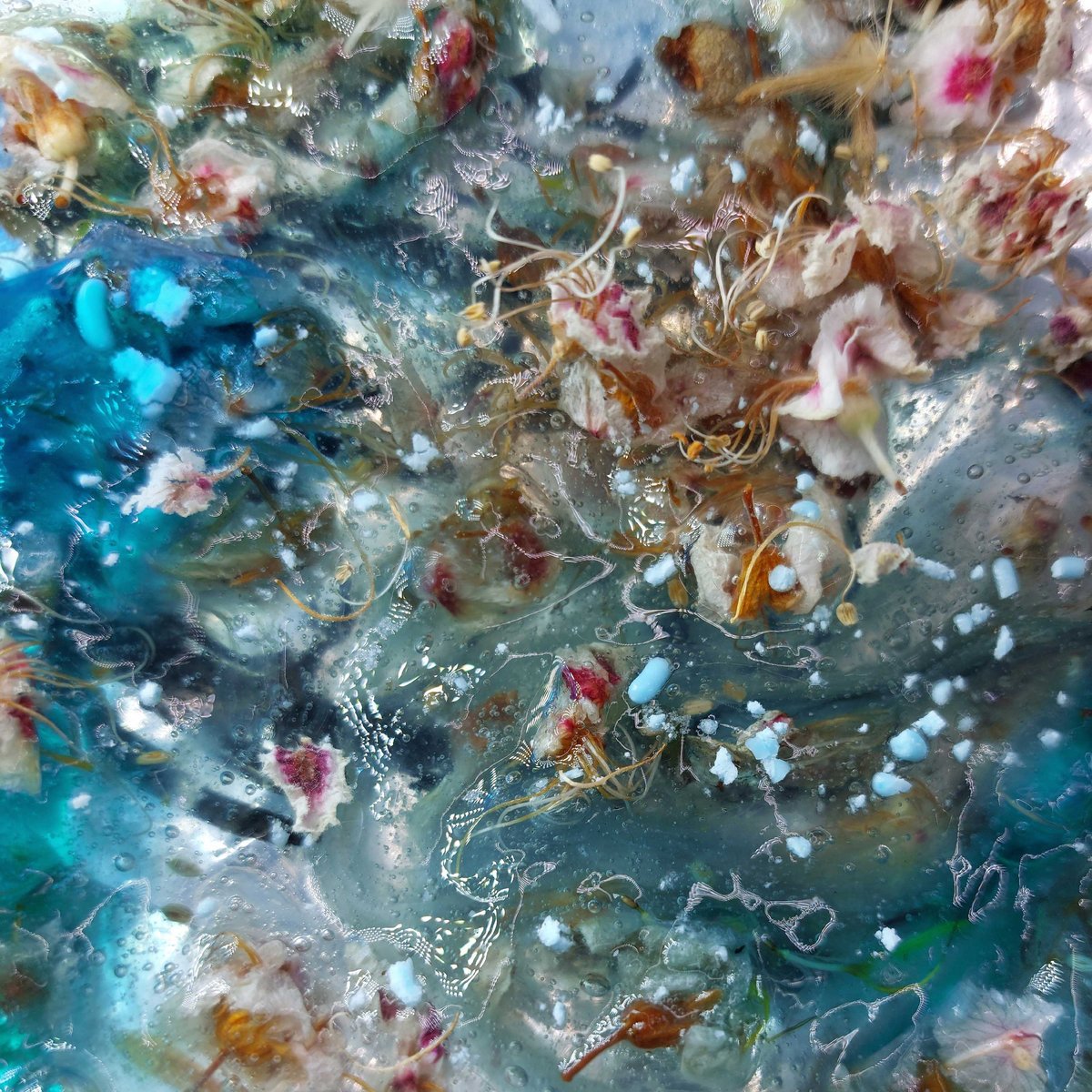 Water Bodies ~ Gravity Pleasure 01