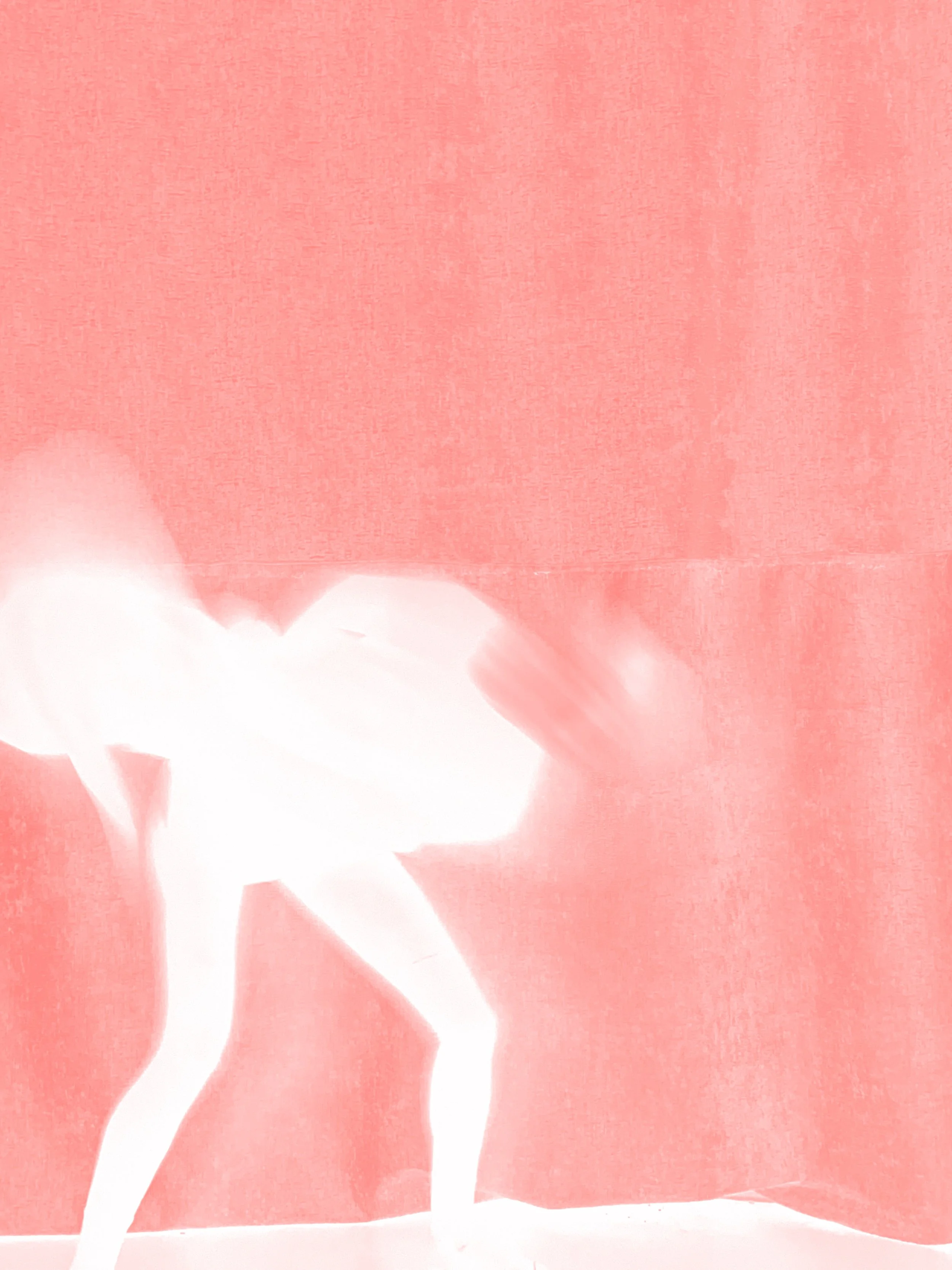 Chimera small 1.jpeg