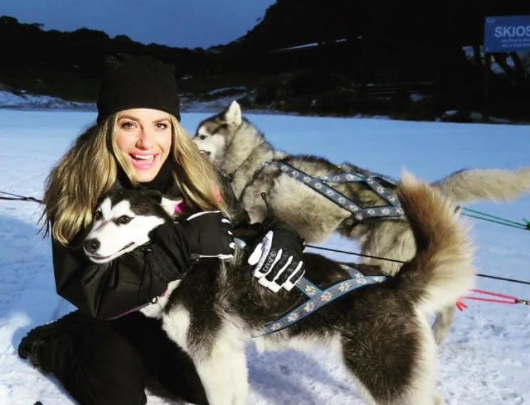 11206067_997640150255876_8705355875932880273_n.jpg