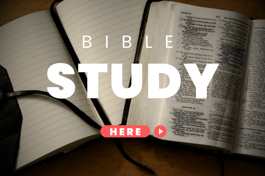 BIBLE STUDY